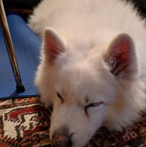 Meet your Posher, Leah